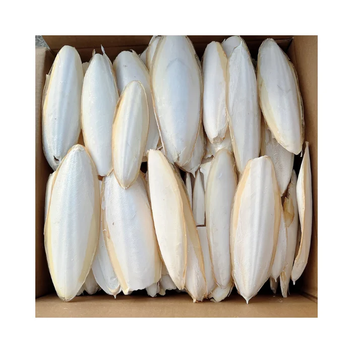 Buy Cuttlefish Bone Online: Natural Drying Process, Perfect for Avian Feeds, Vietnam Export Ready
