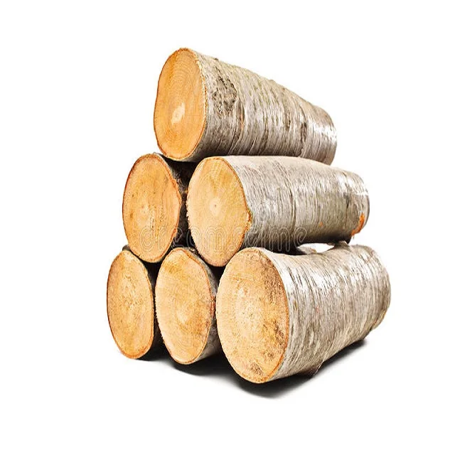 Best Quality Beech Wood Logs / Sawn Spruce Wood Logs Pine Wood lumber Eucalyptus logs at cheap price