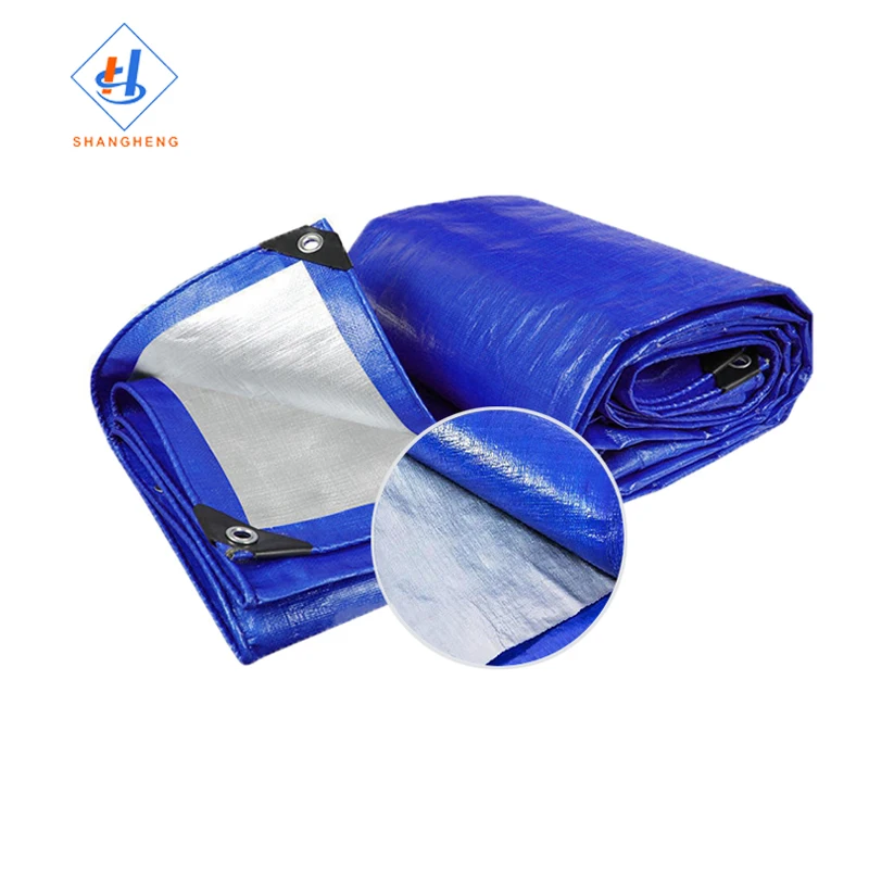 Awning Waterproof Pe Tarp Eyelet Blue Tarpaulin Waterproof Roof Cover Poly Tarp