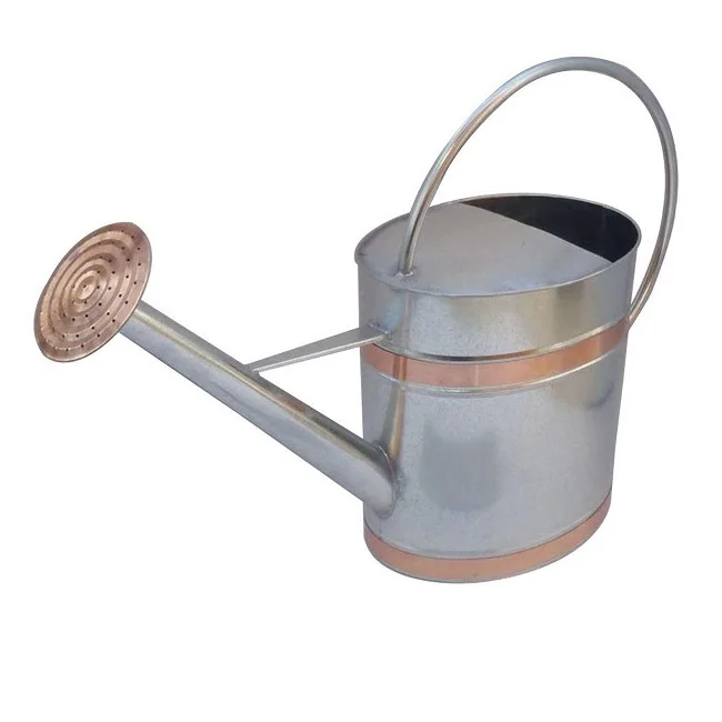 5 L Galvanized Iron Watering Can Handmade High Quality Customized Iron Metal Watering Cans for Garden Supplies Iron Watering Pot