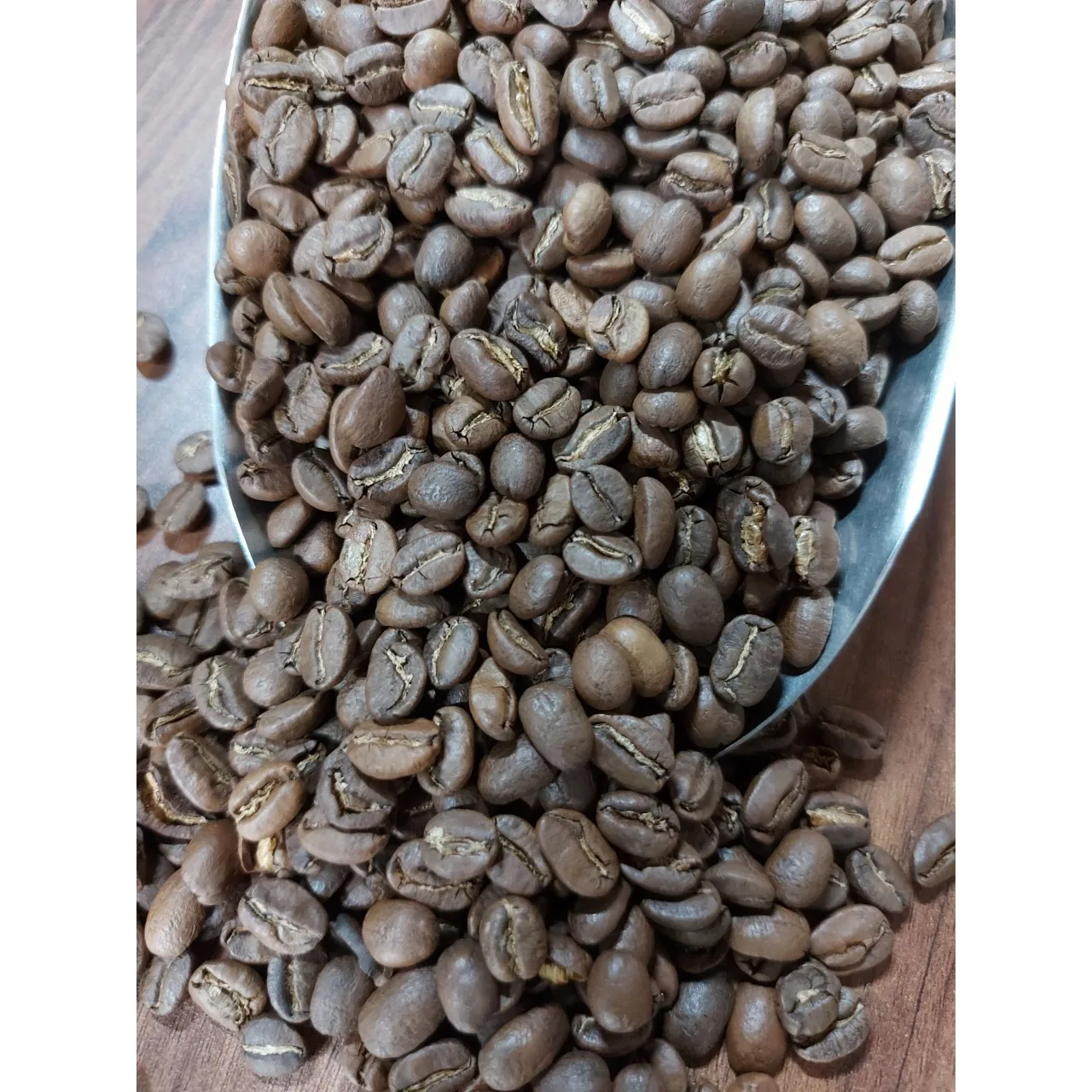 Hot Sale Arabica Cau Dat S16 Roasted Carpentry Coffee Beans High Quality Medium Roasted