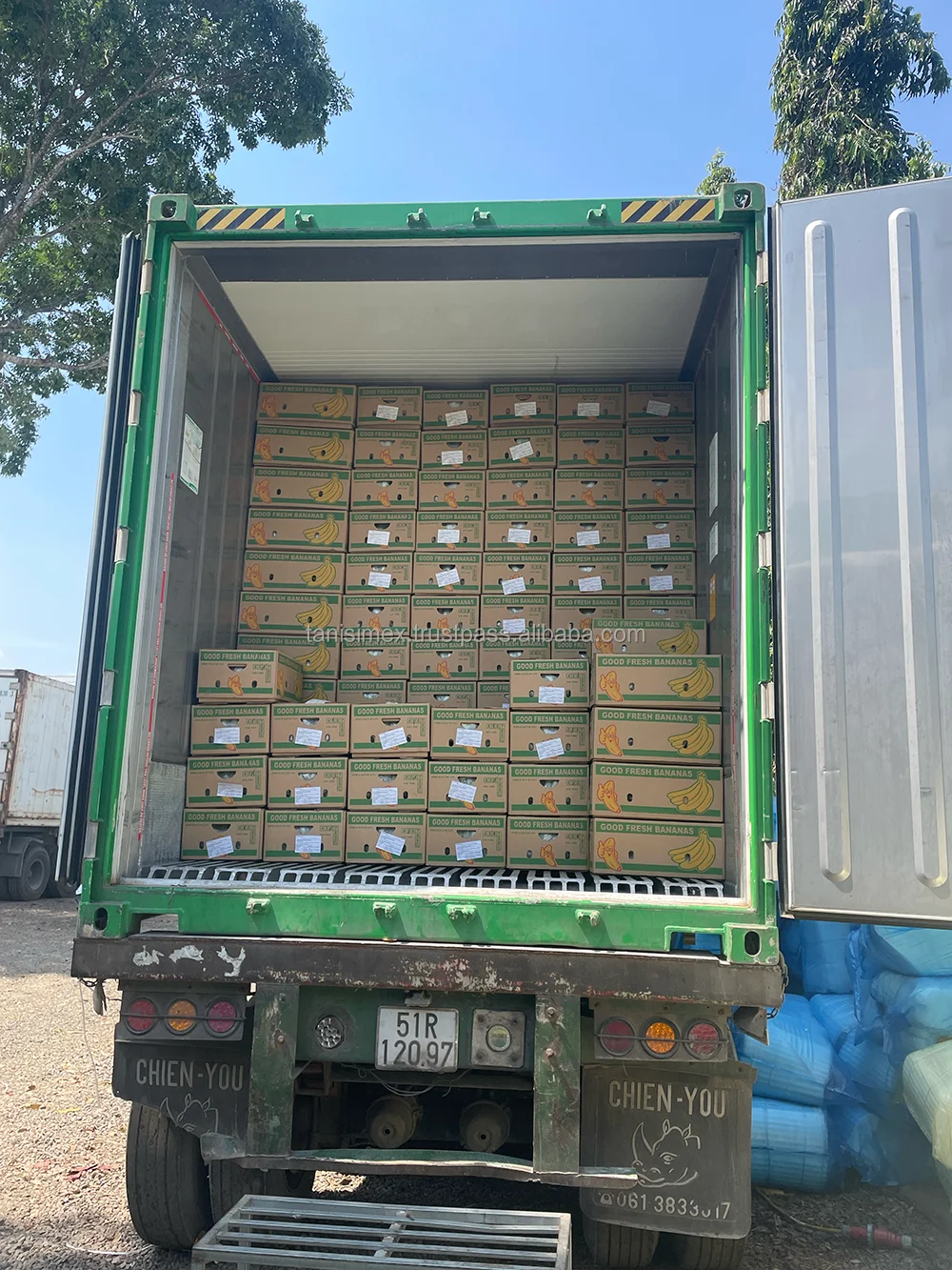 Экспорт бананов Cavendish: Высококачественная продукция для