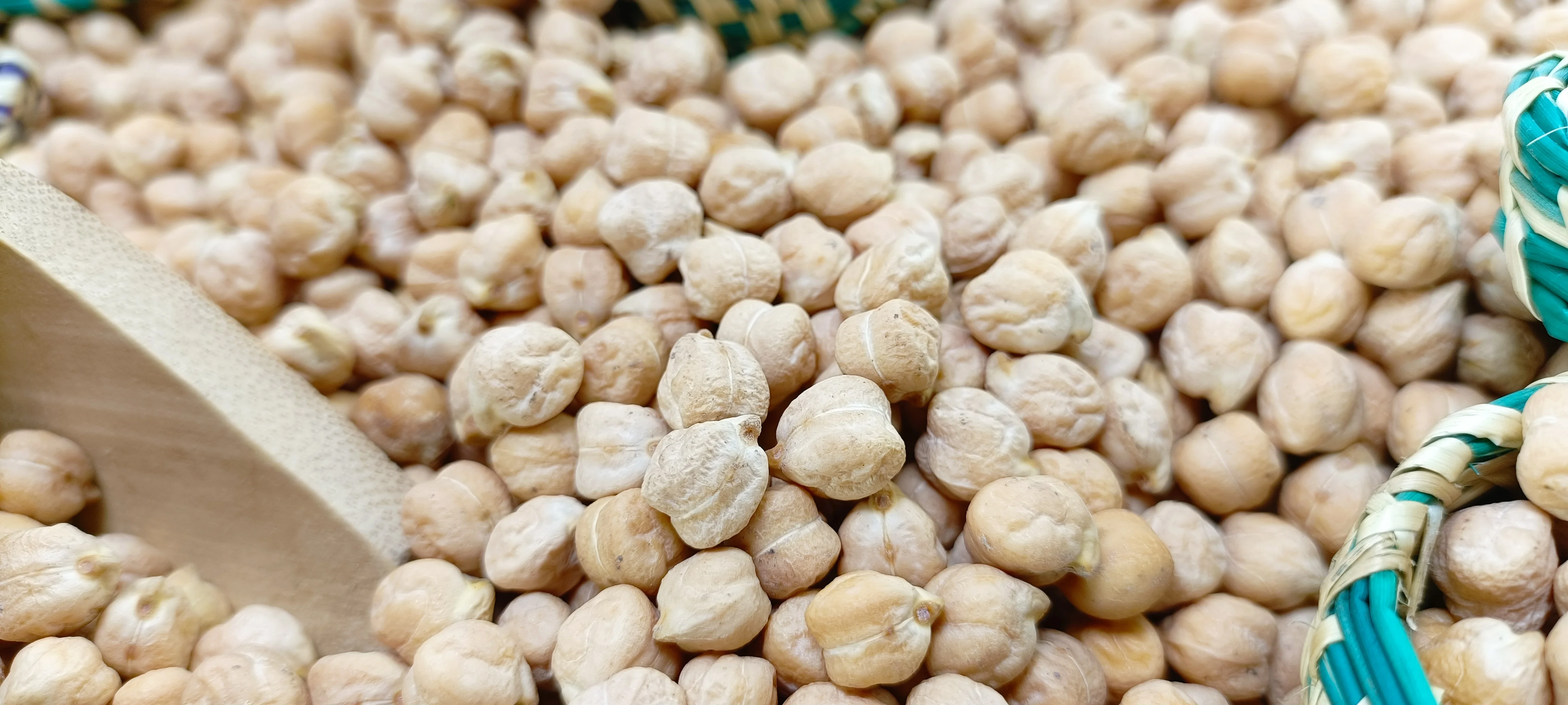 Kabuli Chickpea DP-48