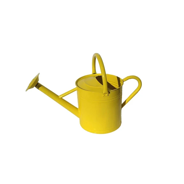 Decorative Watering Bucket Metal Kids Can Small Garden Water for Home
