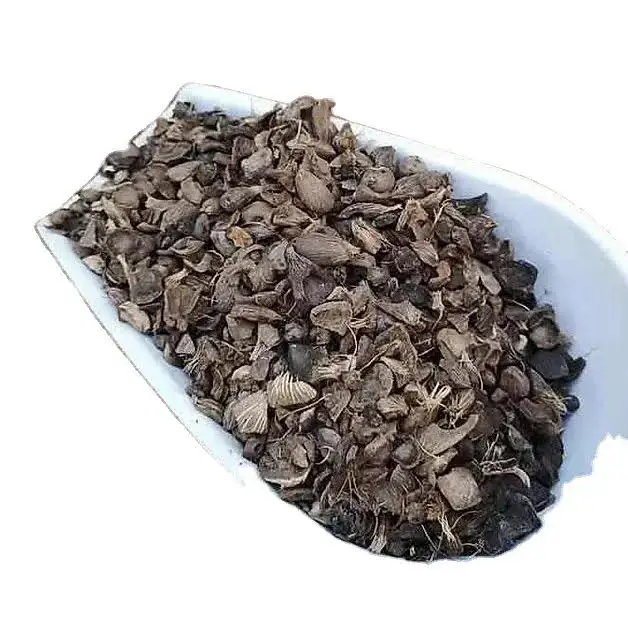 Factory price for Palm kernel shell suppliers