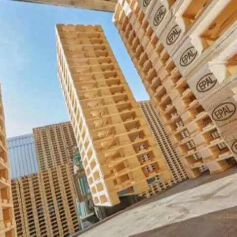 Strong Euro pallets / Epal pallets For Sale