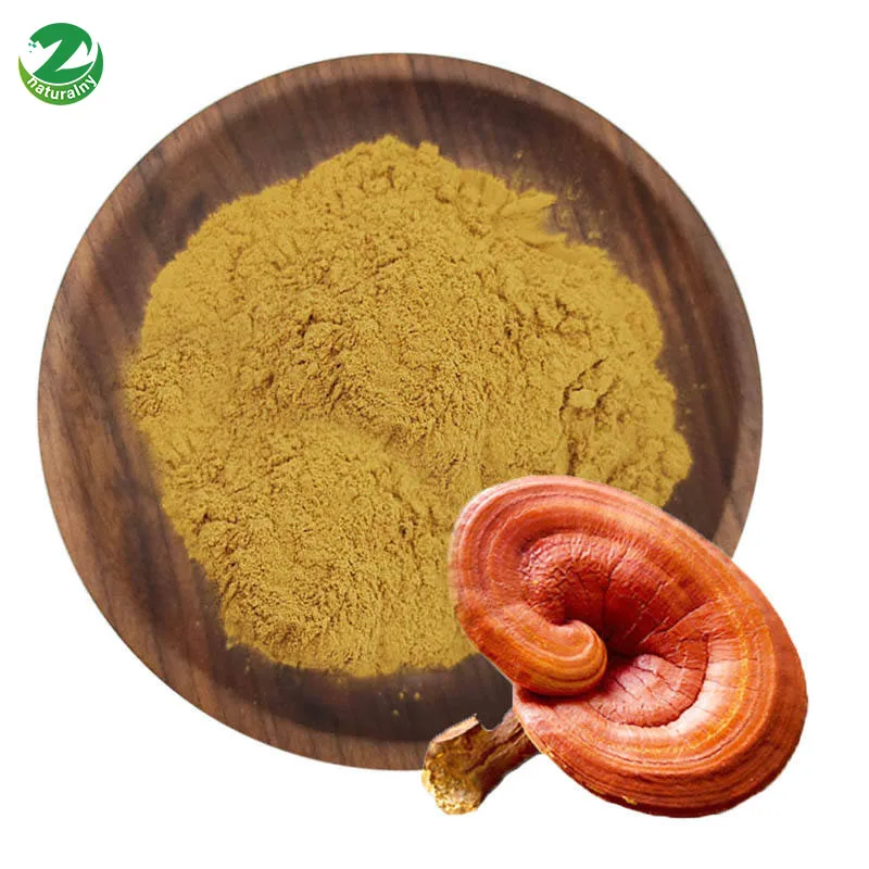 Natural Organic Lingzhi Ganoderma Lucidum Extract Powder 40% Polysaccharides, Reishi Mushroom Extract