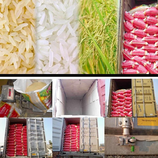 FREE SAMPLE 1509 CREAMY WHITE BASMATI RICE CURRENT CROP AVERAGE LENGTH 8.4 MM 50 KG PP BAG PACKING FACTORY STUFF READY TO EXPORT