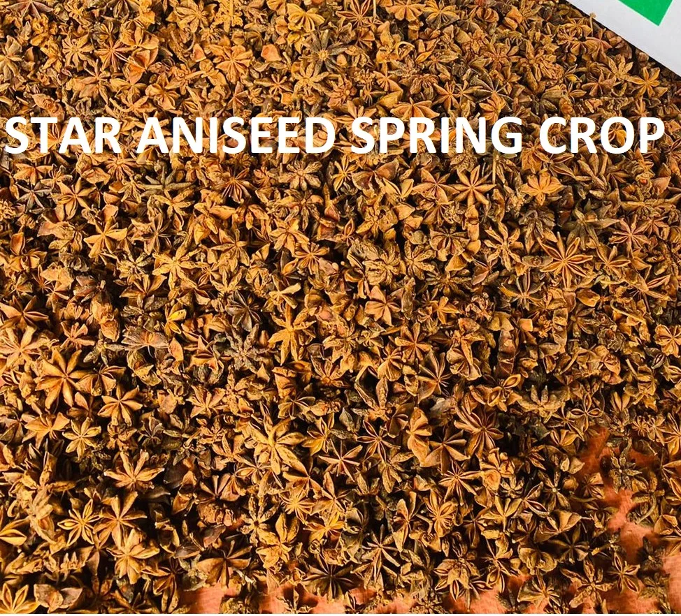 Product made in Vietnam 100% Organic Direct Factory Supplies Spring Star Anise Authentic Spices For Seasonings & Condiments