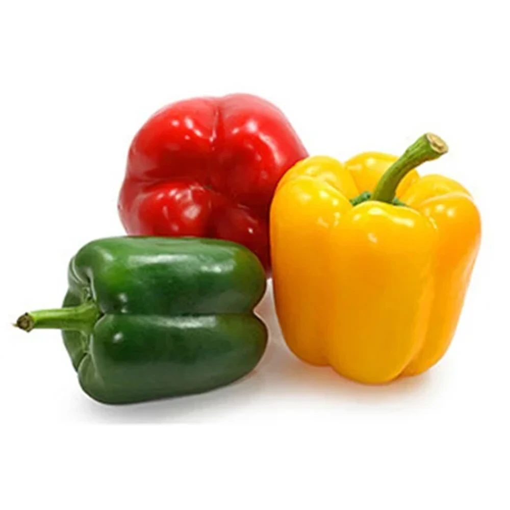 Best Selling and High Quality 100% Natural Product Fresh Bell Pepper Ready for Export in Bulk Quantity