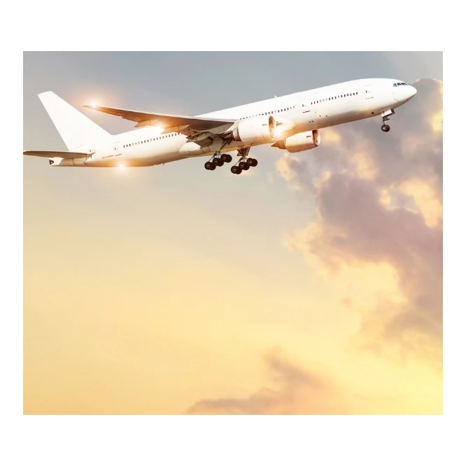 First Rate Malaysia Air Shipping Agent Forwarded To India & Indian-sub By Air Freight With Best FCL and LCL, All Types Shipment