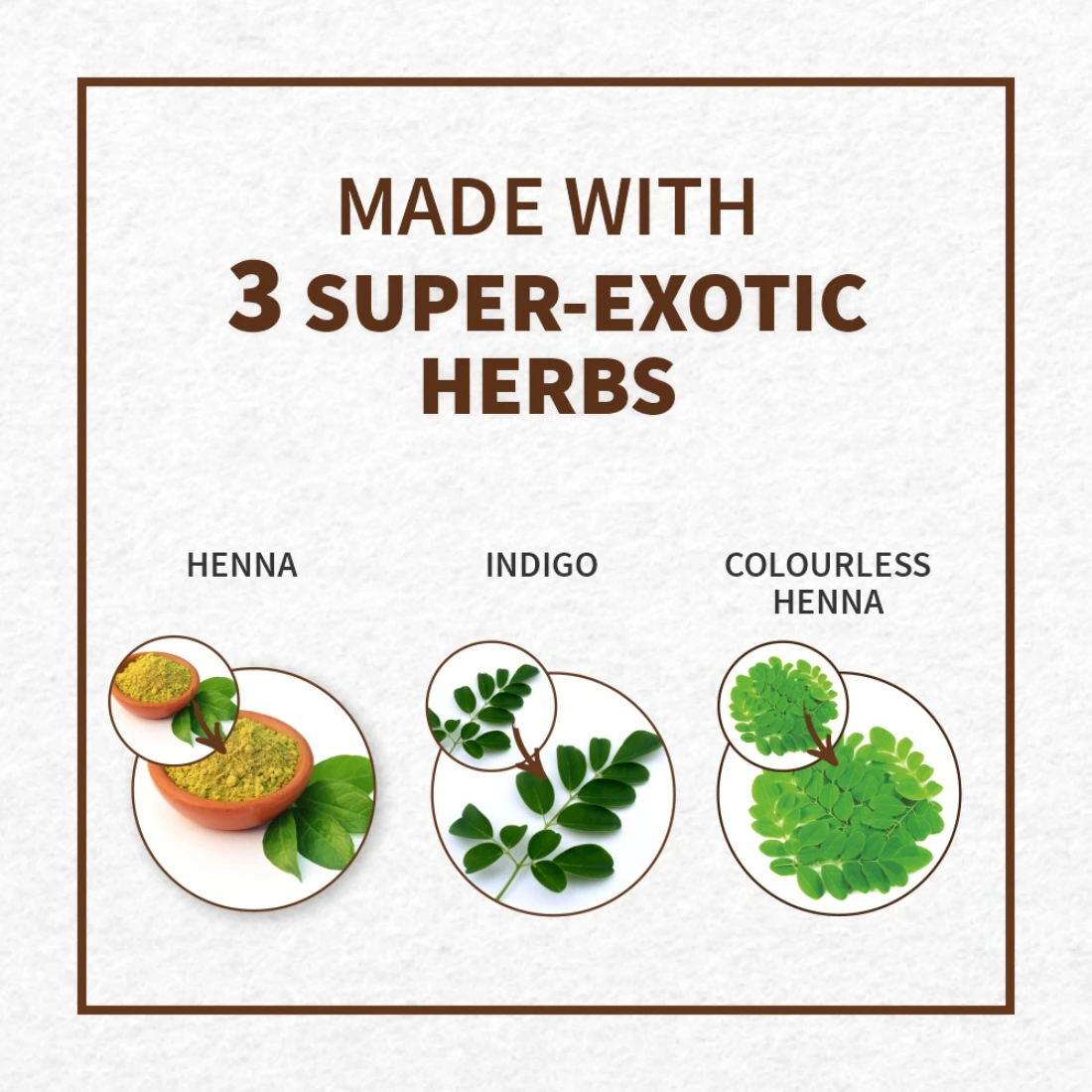 Indus Valley Bio Organic Natural Henna Powder for Hair Dye Auburn- 100gm (3.5 oz)