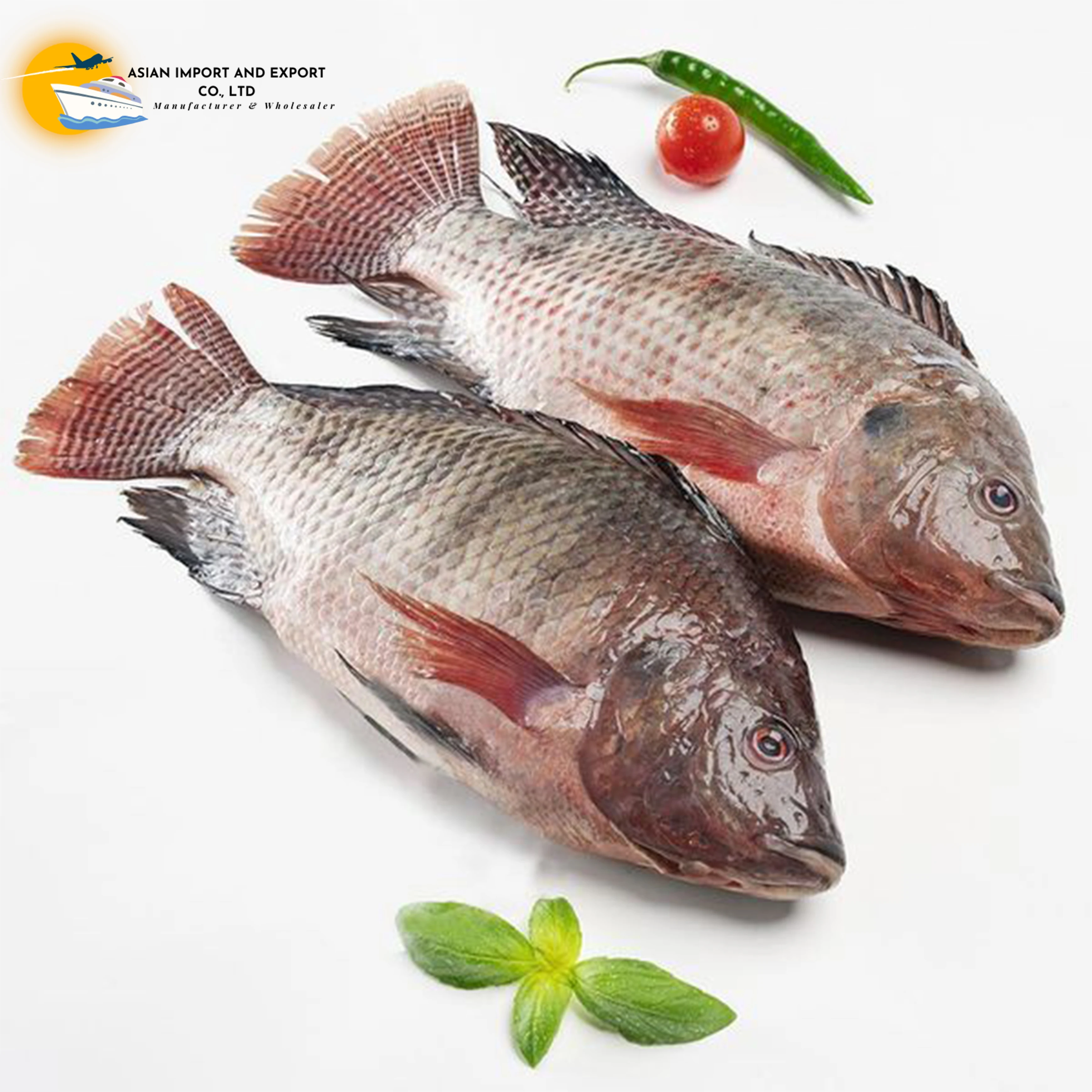 Frozen tilapia fish for sale in bulk with customized packing we sell at very low prices all over the world