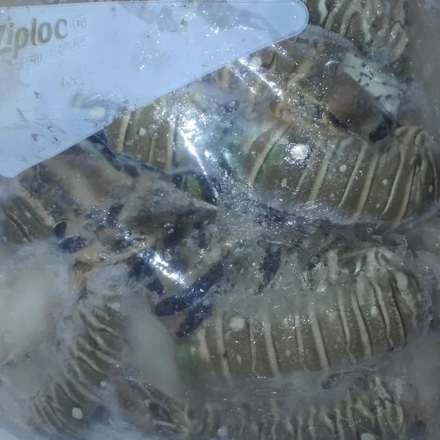 Seafood Fresh and Frozen Lobster, Frozen Lobster, Frozen Lobster Tails Fresh Lobsters for sale