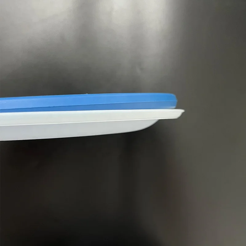 Factory Customized High Quality Regulator valve Pump Spare Parts PTFE Rubber CR White Diaphragm For aodd Pump