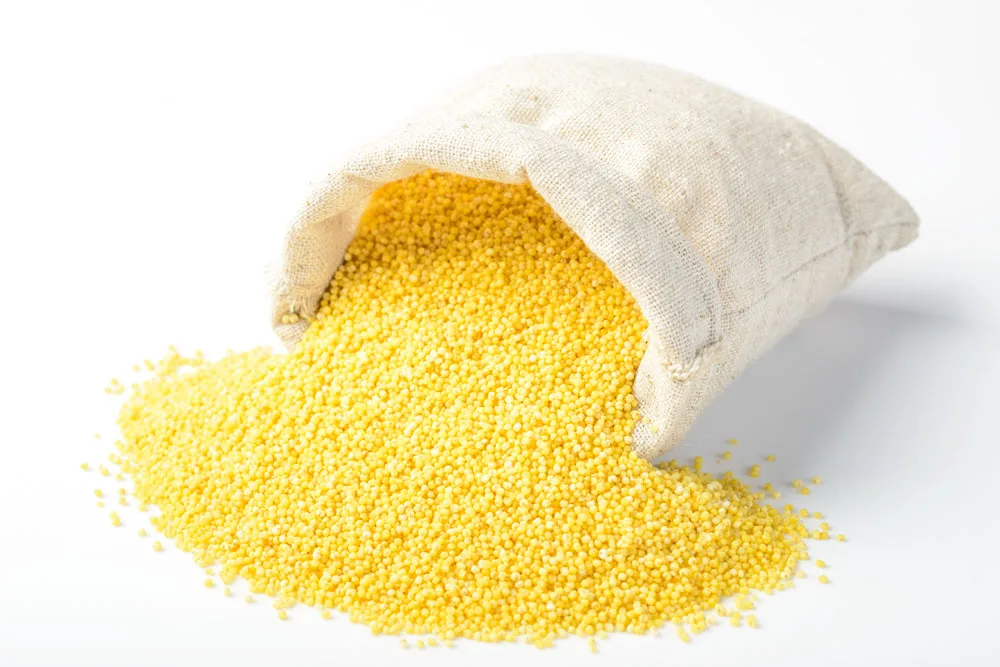 High Quality Corn Gluten Meal Feeds Cgm  Animal  Feed Wholesale Supplier Corn meal Gluten Feed for Animal