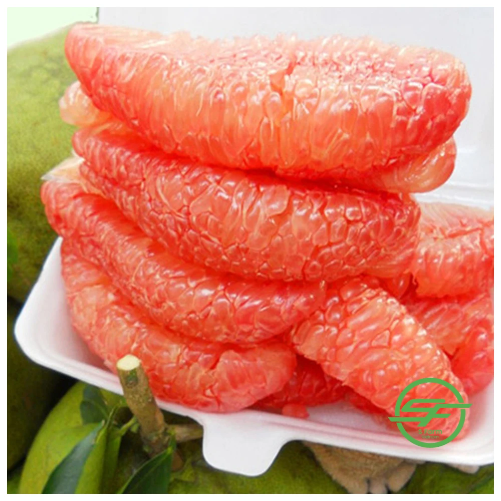 Wholesale Best Price Special Cuisine Organic Cultivation Type Green Grapefruit With Sweet Flavor From Vietnam