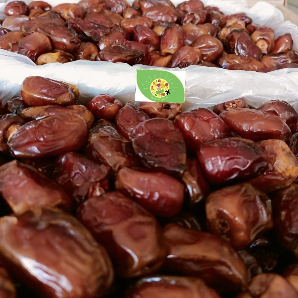 High Quality Top Grade Dried Fruit dates Fresh Dates Natural Healthy semi dry Dates Available from Egypt