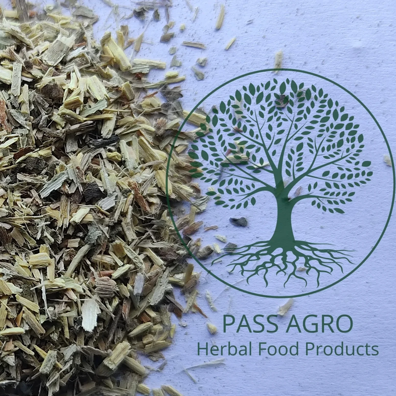 Хит продаж сушеные тернистые чайные пакетик (Solanum procumbens) растительные настои TBC/T-Cut самые продаваемые продукты