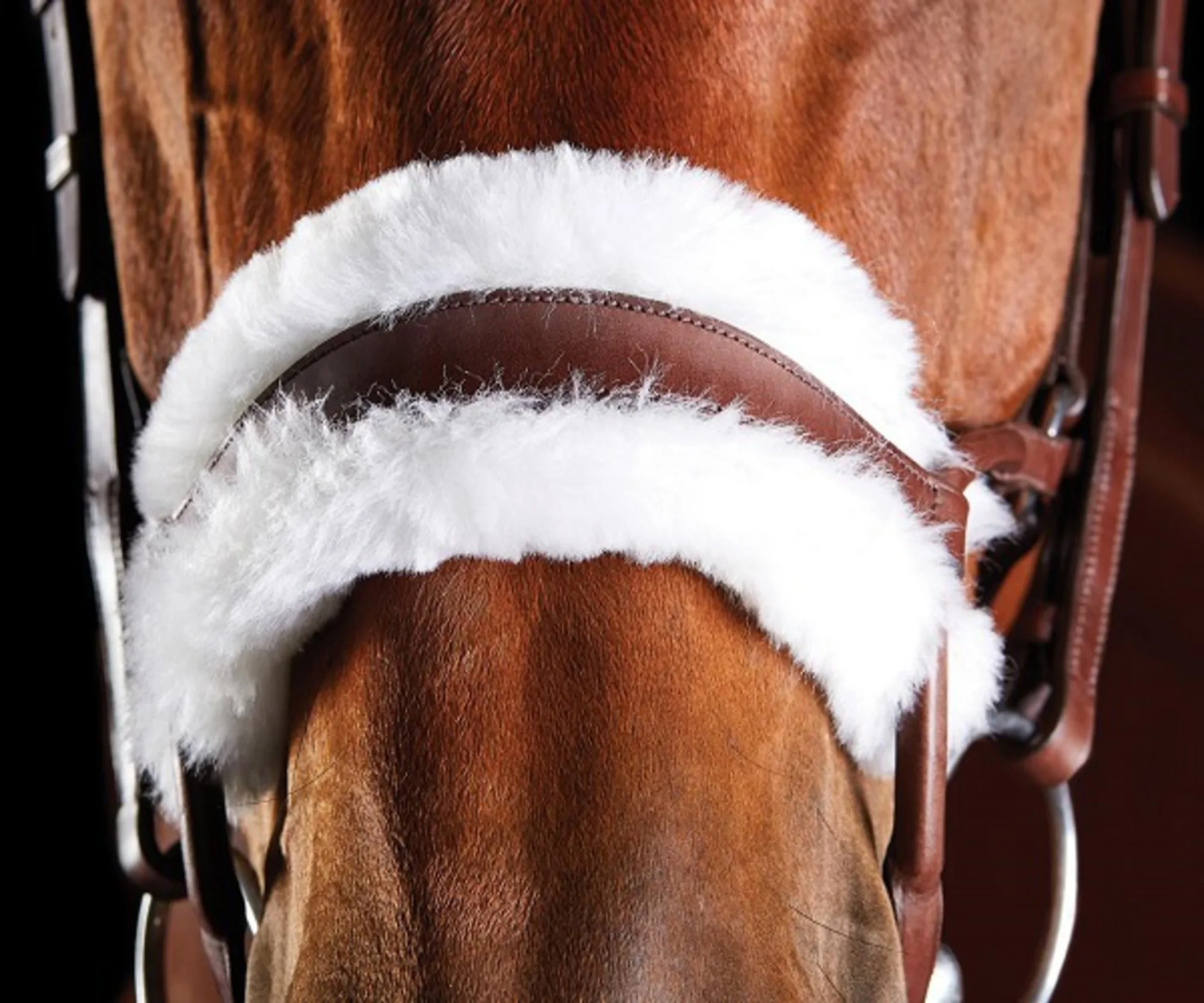 Anatomical Design   Horse Bridle Anatomic Horse Leather Bridle Horse Snaffle Leather Bridle Manufacturer Anatomic Dressage