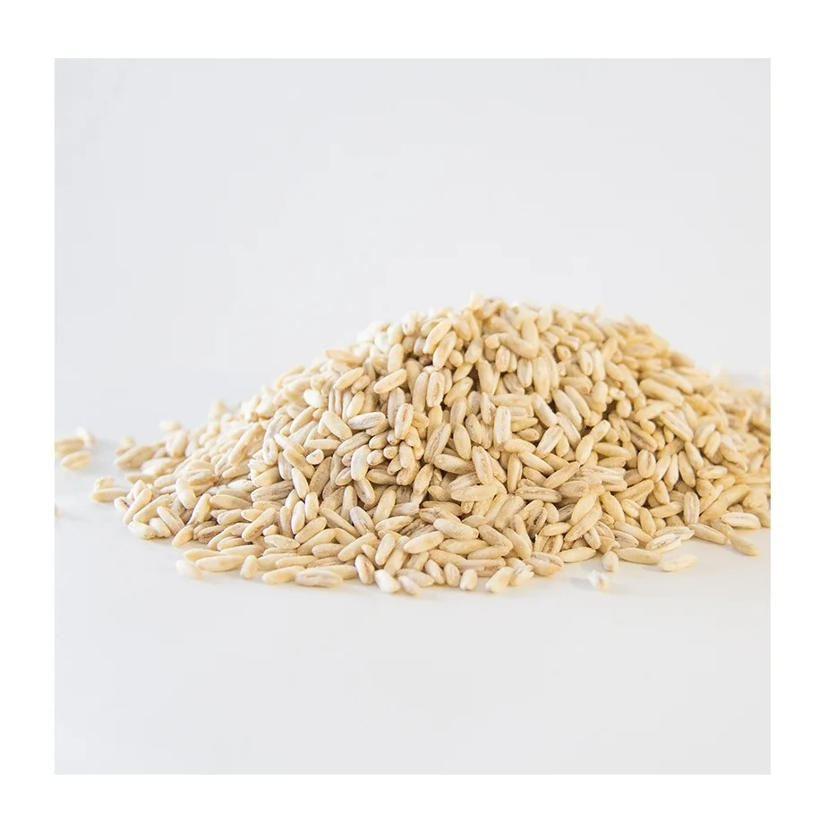 Hot Selling Price Of Organic Oats Grains In Bulk Quantity