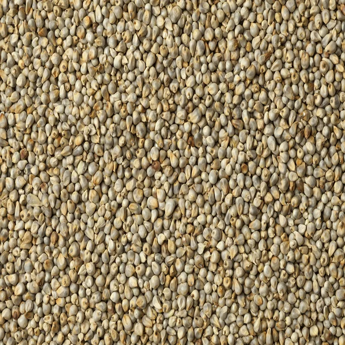 wholesale Grains and Flour  Type: Millet  Color: Red  Glutinous: Glutinous  Style: Dried  Drying Process: AD  Cultivation Type: