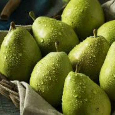 pear4.jpg
