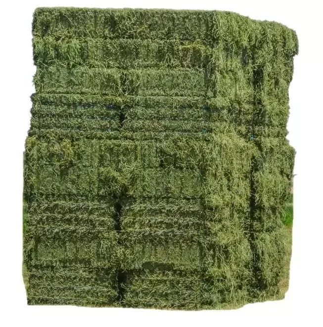for Animal Feeding /alfalfa hay pellets /Timothy Hay in Bales Top Quality Alfafa Hay for Animal Feeding Stuff Alfalfa
