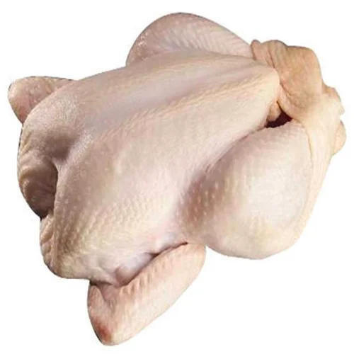 High grade HALAL certified vacuum packing products from manufacturer netherlandS whole chicken body carcass for food