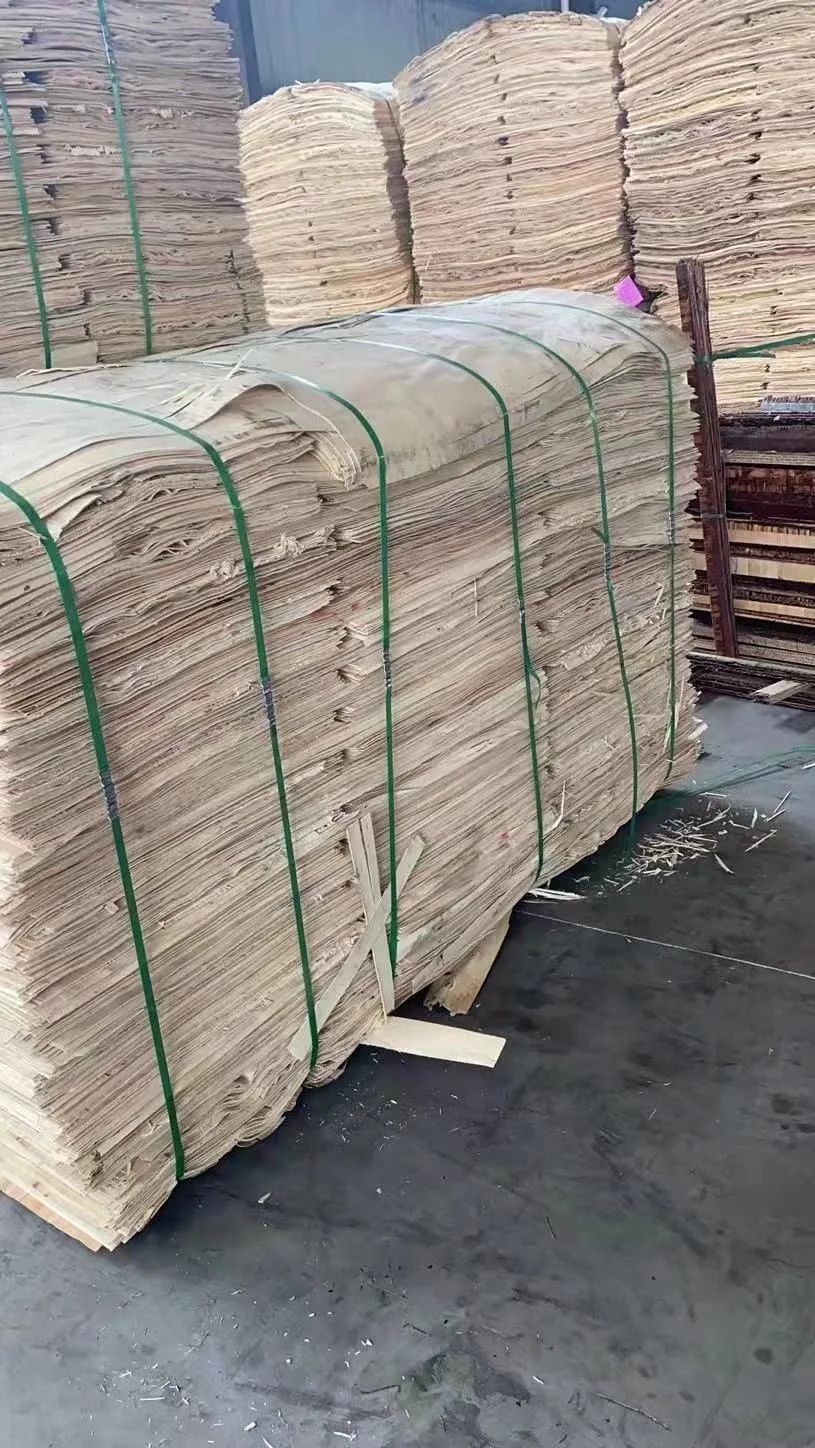 Best Price Vietnam Manufacturer Eucalyptus Vietnam Core Veneer for Plywood