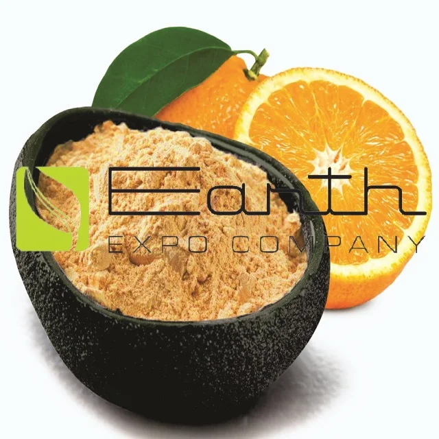 Hot Selling Bulk Supply Orange Powder Orange Juice Powder exporter