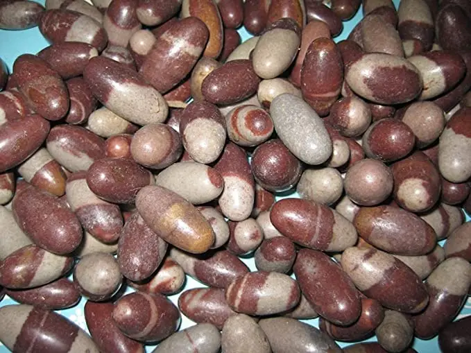 Narmada Shivling 3pcs Spiritual Gemstone Religious Shiva Lingam 11pcs Stone Shivling Collection