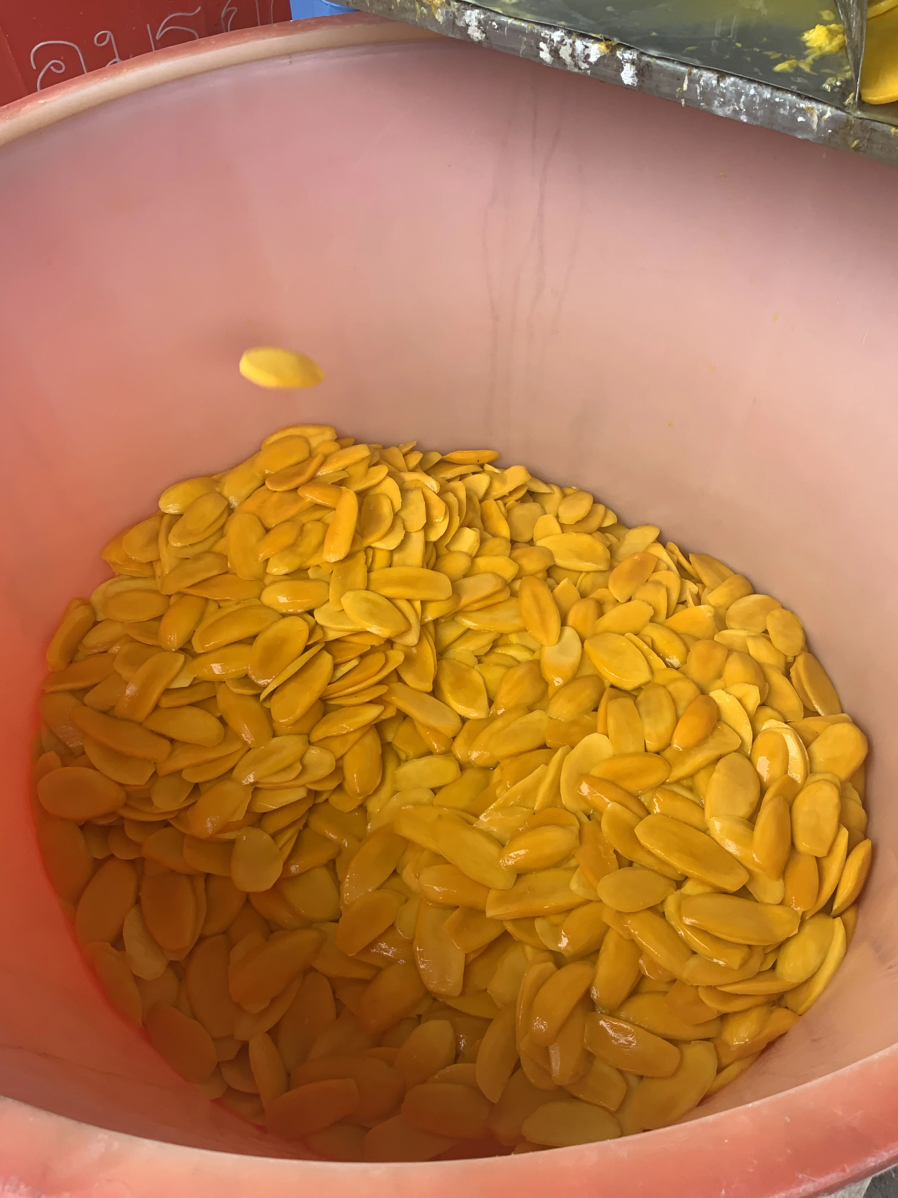 Wholesaler Dried mango package in bulk 20 kg box