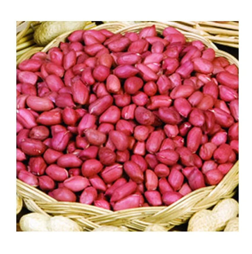 Great quality high protein raw peanut kernels peanut seeds price from Uzbekistan manufacturer wholesale for export