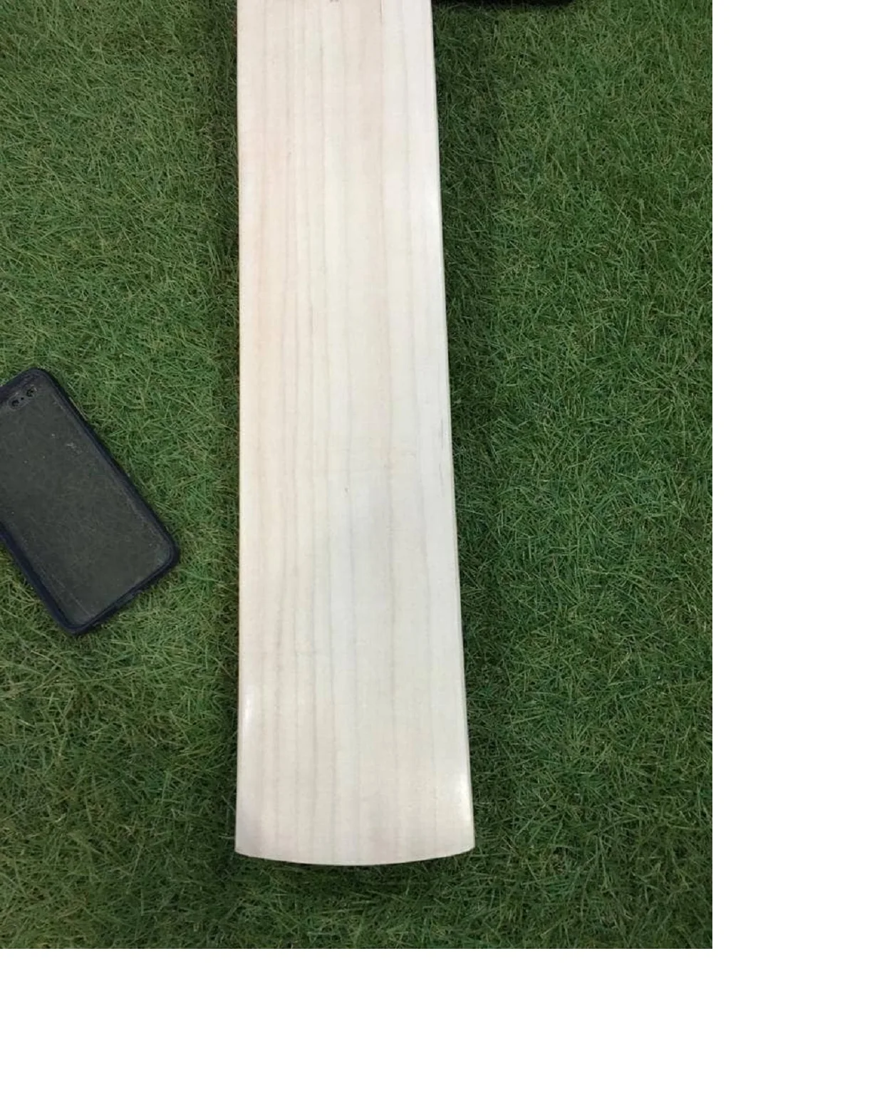 Leather Bat