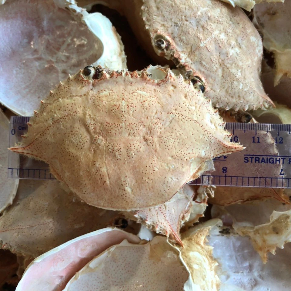 Высококачественный натуральный сушеный крабовый ракушка для еды в ресторане из Вьетнама/целиком очищенный дешевая цена на экспорт
