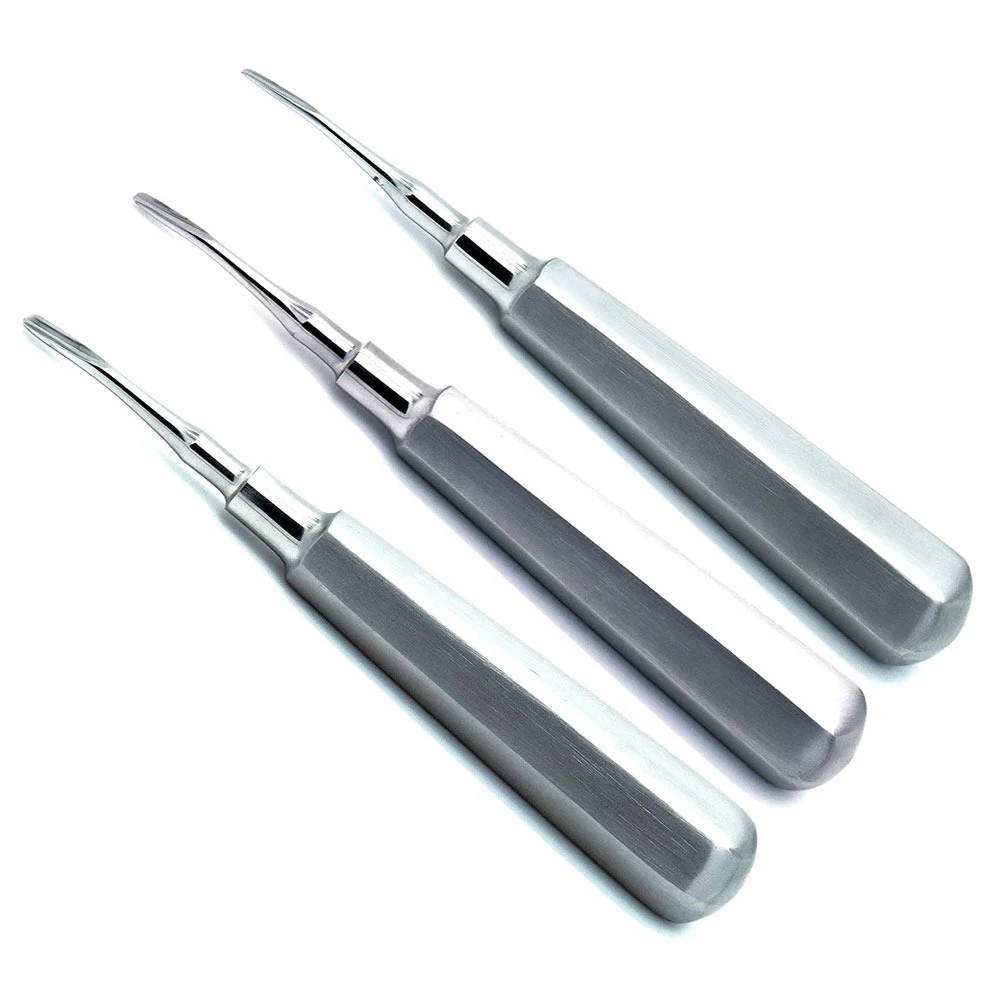 Top Trending 2023 Cross Bar Dental Winter Root Elevator Both Side Blade Professional Dentist Instruments