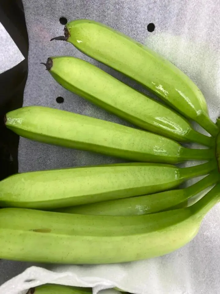 Wholesale Good Quality Competitive Price Delicious Flavour Fresh Banana From Viet Nam Export