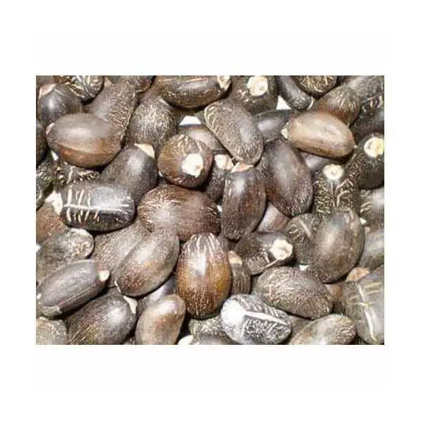 jpeg (15).jpg
