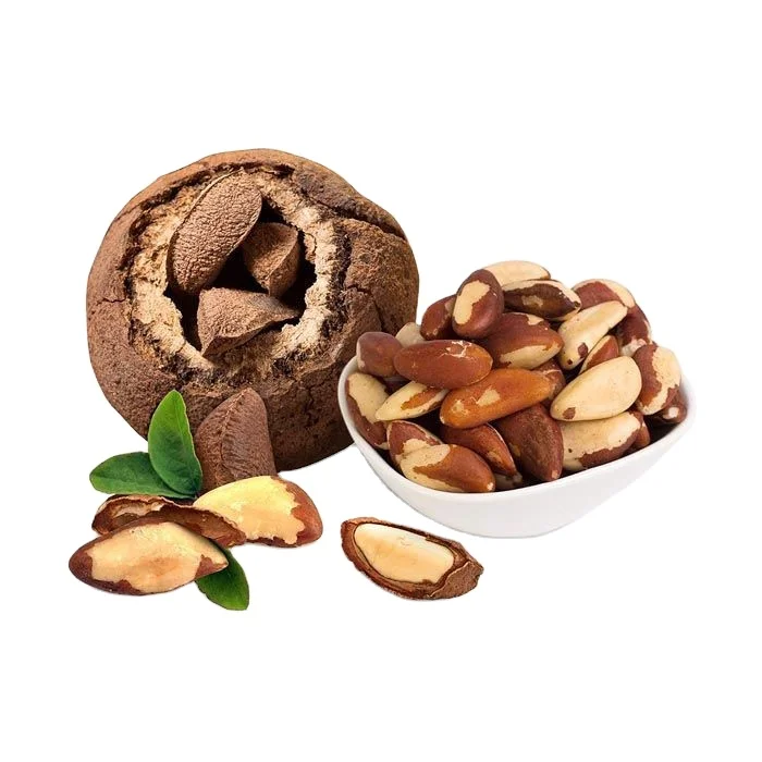 Brazil Nuts In Shell / High Quality Brazil Nuts /Cheap Price Brazil Nuts Available Cheap price