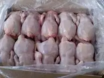 High quality frozen whole chicken, chicken feet & Chicken wings for sale