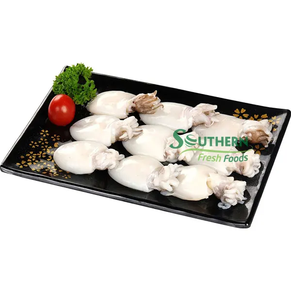 SFF bulk style Wild Caught Nature packaging feature products quality best cuttlefish Frozen Baby Cuttlefish from Vietnam