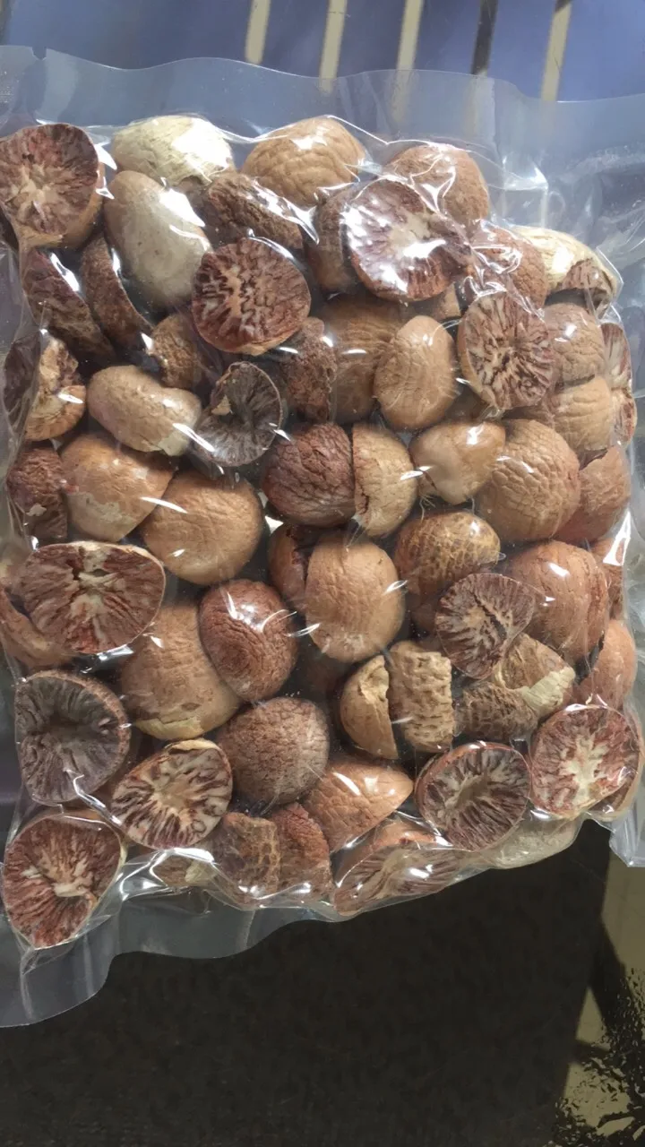 Поставка сушеных орехов Betel хорошее качество