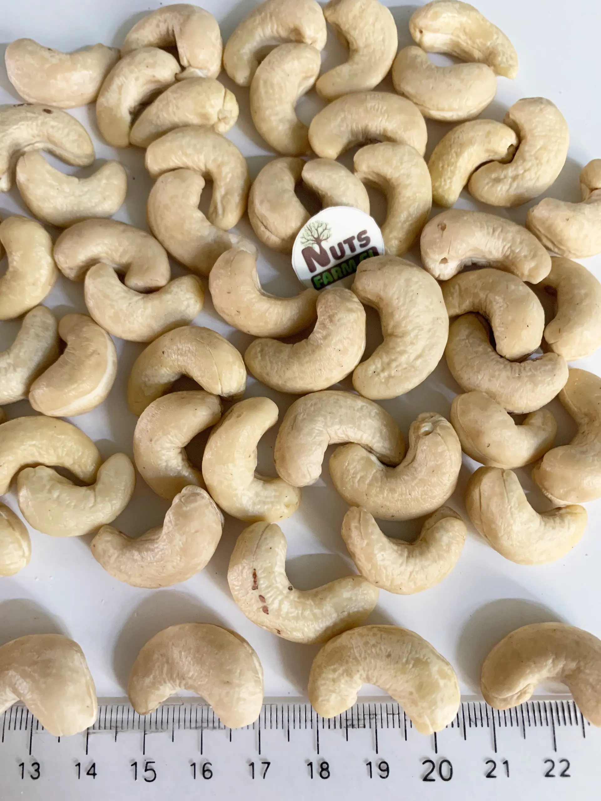 PRODUCT FOR EXPORT - VIETNAM CASHEW NUTS HIGH QUALITY GOOD PRICE W240,W320, WS, LP, SP...OF DHFVN MANUFACTURE