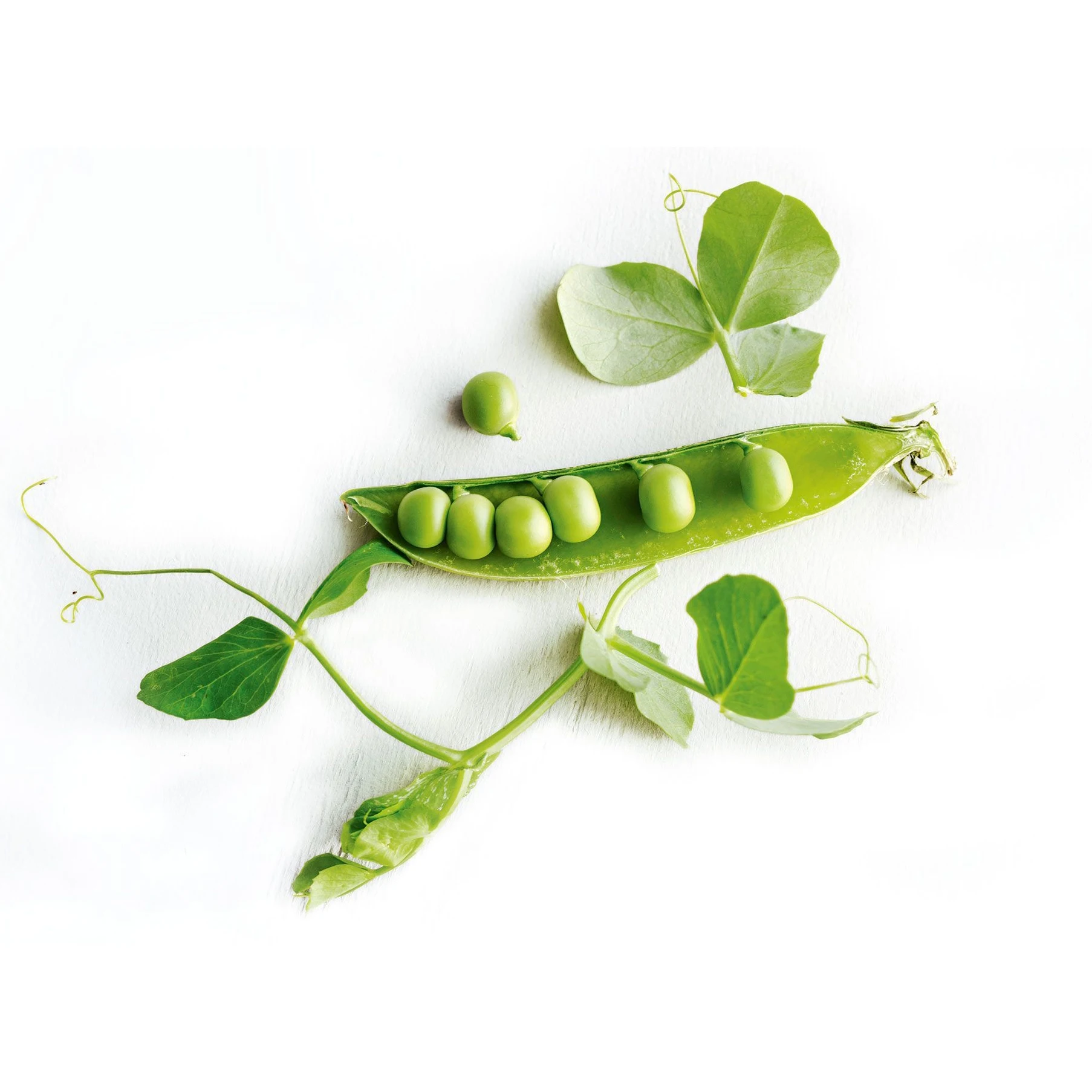 Fried and Coated Bean green Peas Price Certified Quality Manufacture IQF Frozen Green Peas Pea Vegetables Premium Quality