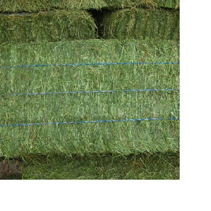Alfalfa Hay at very cheap price / Quality Rhodes Grass Hay Alfalfa