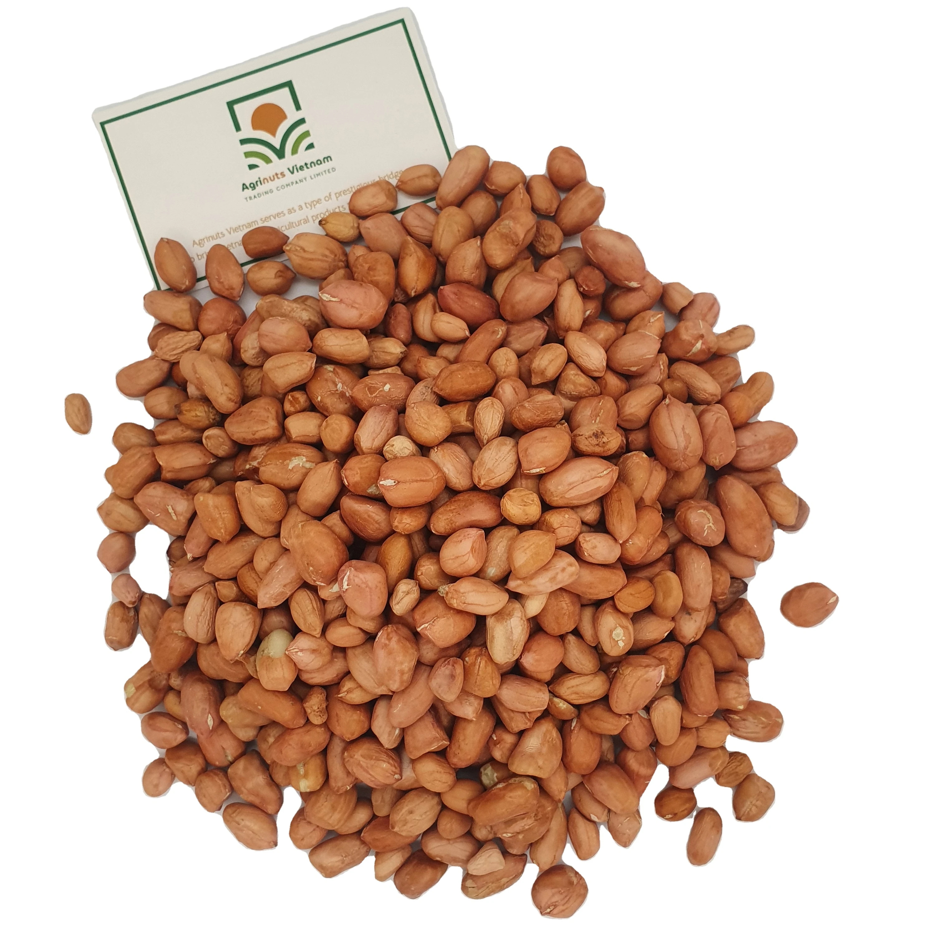 Peanuts 6mm Product With Origin Vietnam Good Price High Quality From Manufacture packing 10kg 25 kg or 25kg