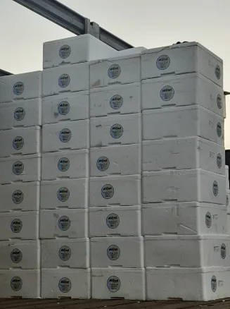 Fresh Red Cherry For Sale From Turkey Best Price 2022 High Quality