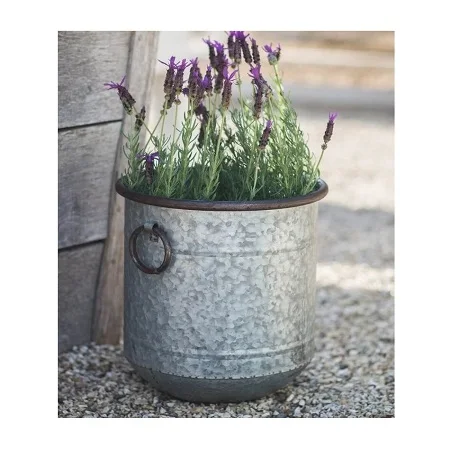 Newest Design Galvanized Plants Planter Customized Size and Shape Tin Planter at Reasonable Price Planter