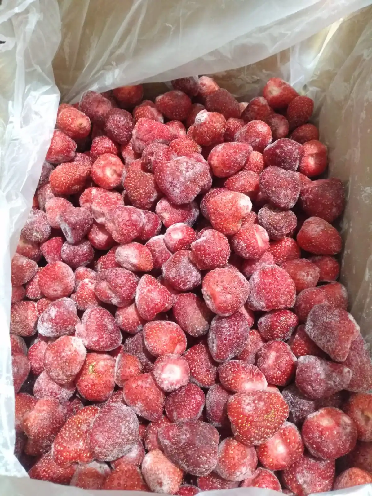 WHOLESALE FREEZE DRIED STRAWBERRY HIGH QUALITY FROM TURKEY IQF WHOLE FROZEN STRAWBERRY AGROWELL TURKISHGOODS